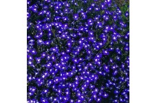 LOBELIA ERINUS MRS CLIBRAN SEEDS - BLUE FLOWERS WITH WHITE EYES - 500 SEEDS