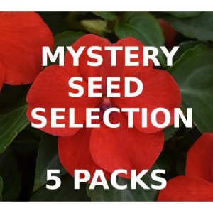MYSTERY VALUE SELECTION OF 5 PACKS OF SEEDS